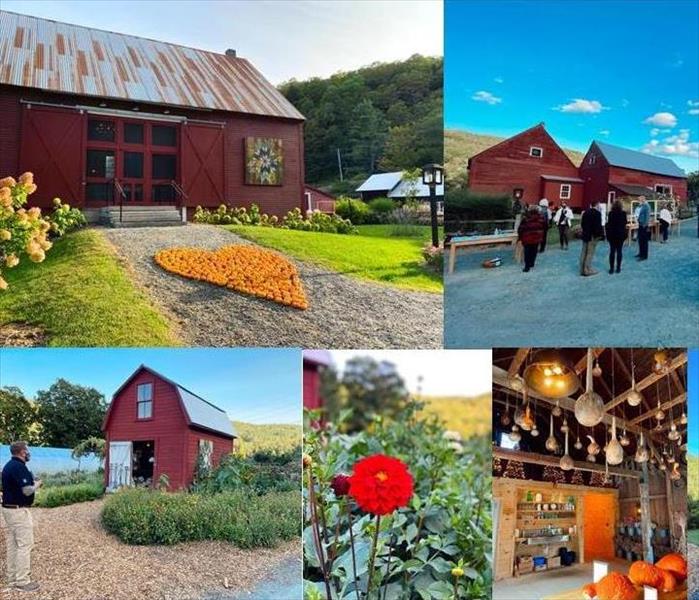 Collage of photos from an outdoor event in Vermont. Lots of plants, colors, patrons, barn, pumpkins