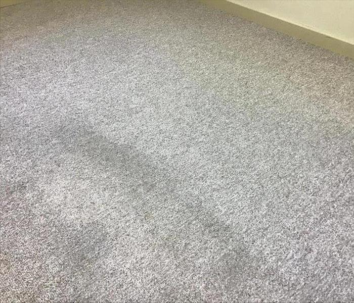 picture of gray carpet with off white walls, one section of the carpet being cleaner than the rest.